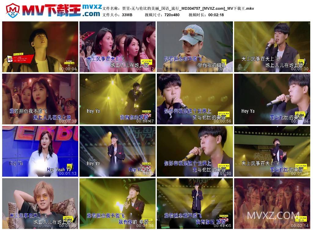 贾昱-无与伦比的美丽_国语_流行_MD304757